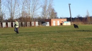 босерон