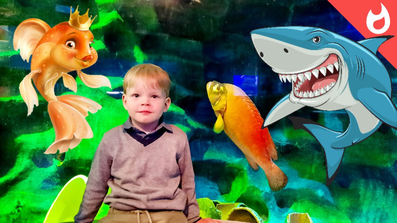 Погладить золотую рыбку в океанариуме / Подводный мир для детей смотреть онлайн