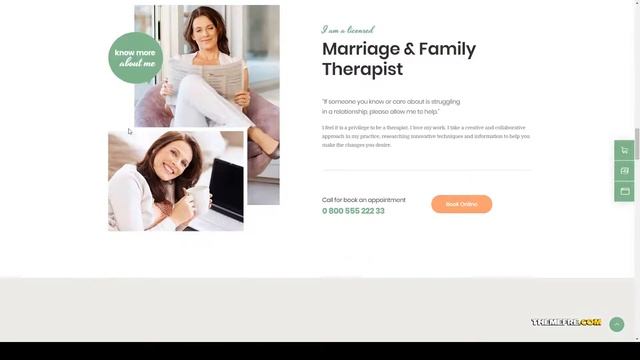 Nanase Britt Family Counselling Psychology WordPress Theme medical practice appointment смотреть онлайн
