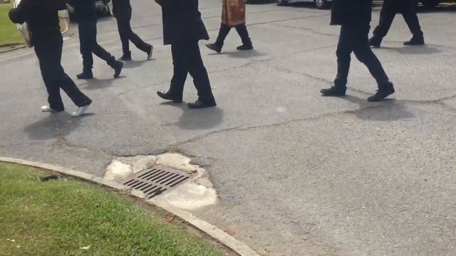 Fakahaele putu смотреть онлайн