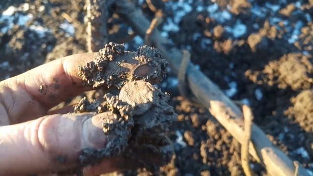 Зимовий,сонячний коп 2022! Пошук денарів в болоті!!! Квест Q30. смотреть онлайн