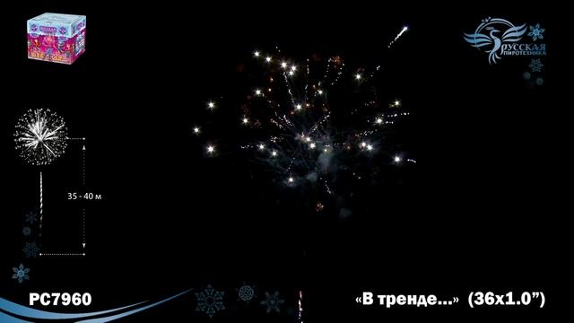 PC 7960.mp4 смотреть онлайн
