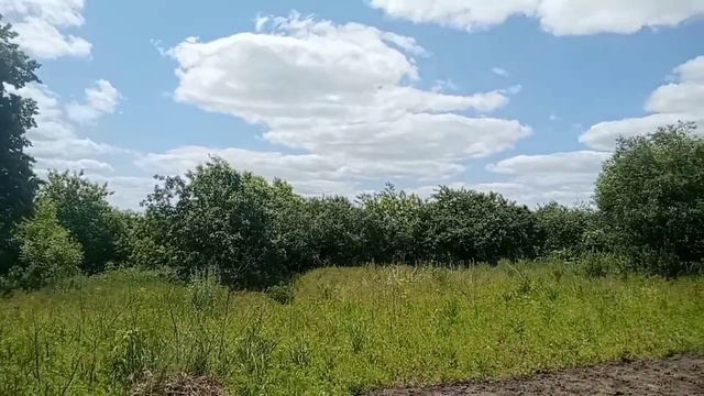 История с Тёщей/ истории любви, сладкая любовь. смотреть онлайн