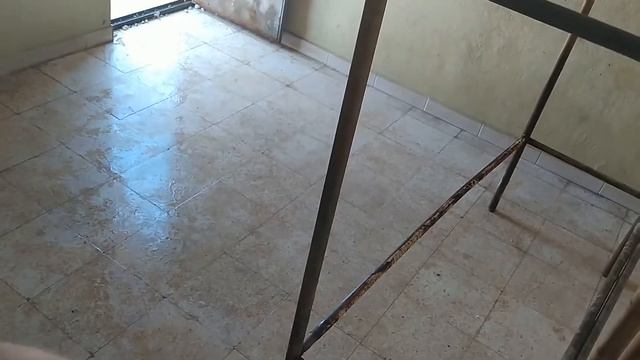 PİTBULL^UN BASİT VÜCUT VE YER BAKIMI(Yuva temizliği Ve Banyosu)^SONYA^ смотреть онлайн