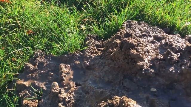 Простой способ как избавиться от Кротов смотреть онлайн