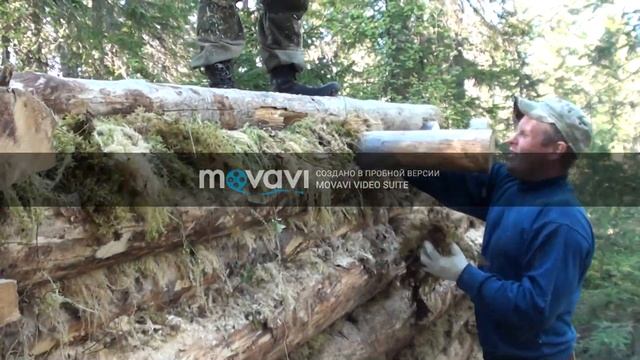 Постройка избы(зимовья) в лесу. #1 смотреть онлайн