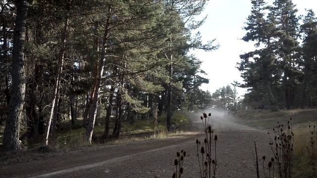 Kemal Çetinkaya - Tolga Tezeken | Subaru Impreza WRX | 2023 100. Yıl Rallisi смотреть онлайн