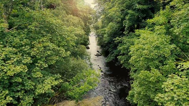 River - Ultrawide 1440p 21:9 Video - 4 Hours - Nature смотреть онлайн