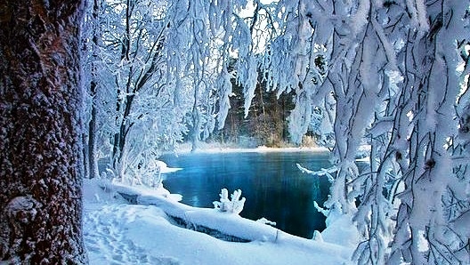 Хороша ты,Матушка Зима! смотреть онлайн