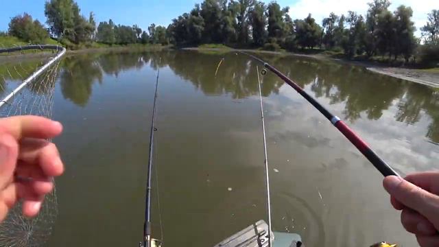 Рыбалка на карася. Ловим карася на донки на реке . смотреть онлайн
