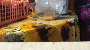 Соковыжималка-шинковка СВШПП-301. Яблочный сок, заготовка.