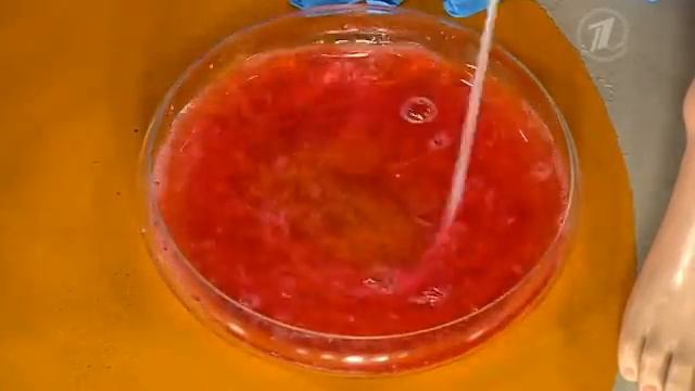 Вишня -- сонная ягода смотреть онлайн