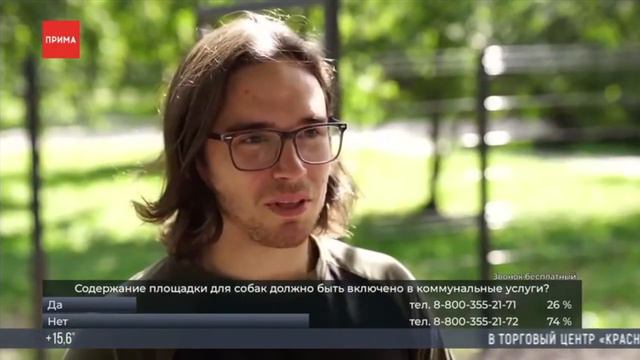 Эфир на Приме: какими должны быть собачьи площадки смотреть онлайн