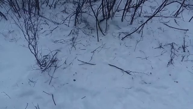 Охота на зайца смотреть онлайн
