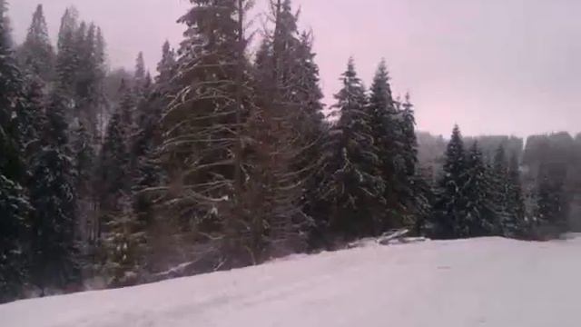 Зимняя дорога на пасеку. смотреть онлайн