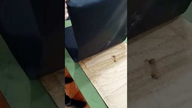 Клей аэрозольный универсальный KUDO смотреть онлайн