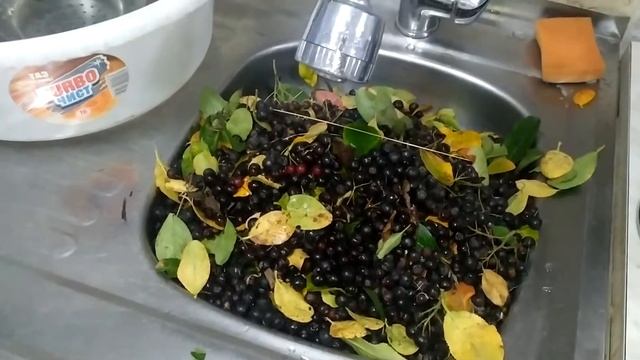 Чистка с умением