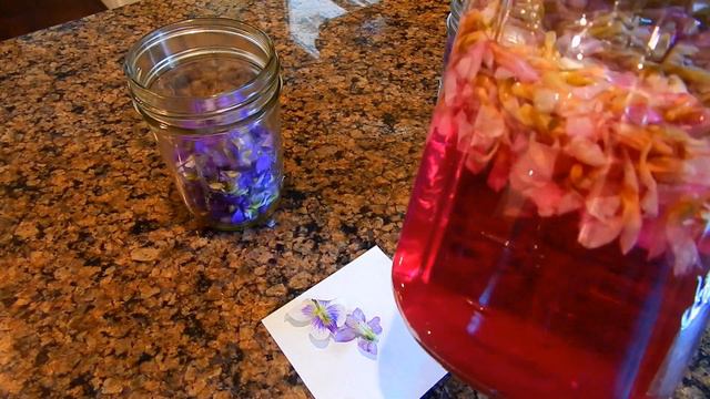What Are These Purple Flowers? смотреть онлайн