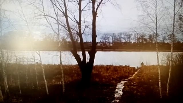 ЧЕРНИЧНЫЙ ХУТОР. YouTube удалил видео!!! Все пропало!?