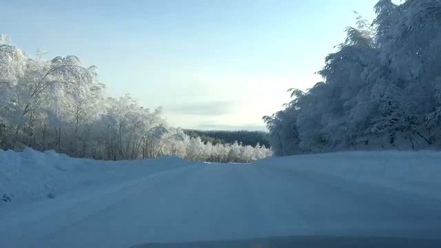 Николаевск-на-Амуре - Селихино , малый отрывок дороги смотреть онлайн