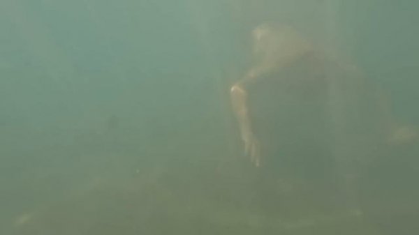 24 SAAT TATİL VLOG!