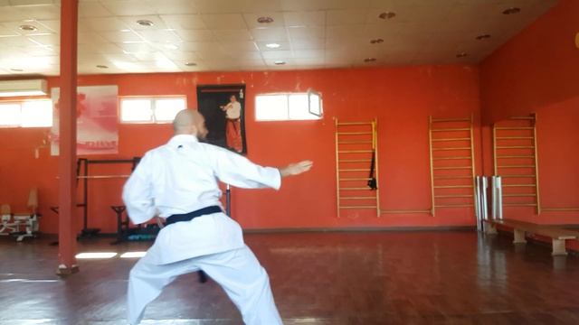Kata Heian Nidan . Traditional Shotokan Fudokan Karate Do