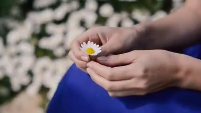 Veles project Анастасии Цветаевой: Николай Рыленков "Ты хочешь знать как пахнет лето" смотреть онлайн