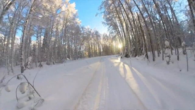 23 декабря 2023 смотреть онлайн