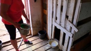 Выращивание и рацион кормления телят. Замеры и привесы.