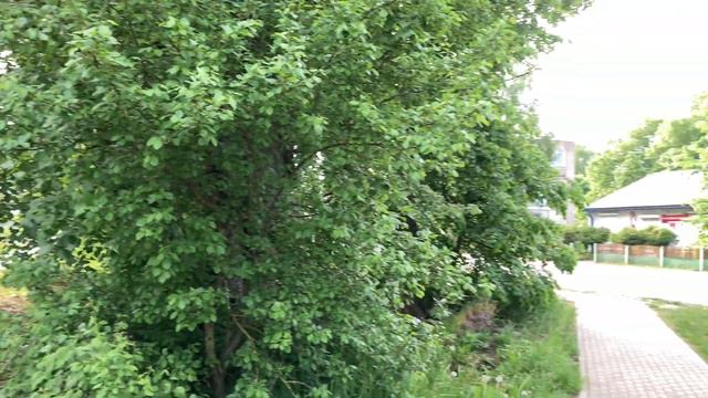 Агрогородок под Минском. смотреть онлайн