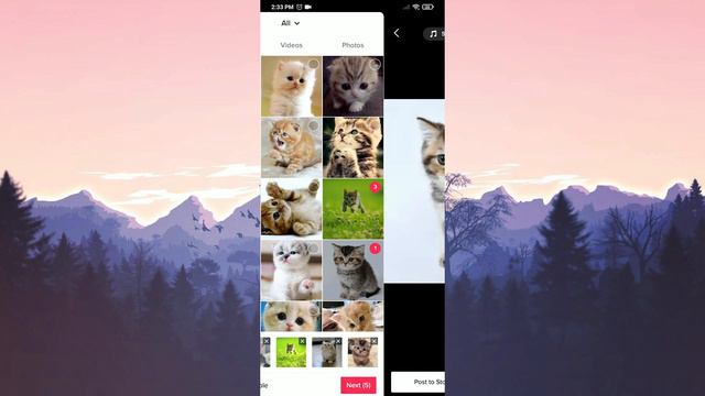 HOW TO DO THE PHOTO TREND ON TIKTOK TUTORIAL | How To Do The Photo Swipe Trend On Tiktok смотреть онлайн