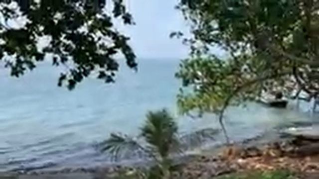 Обзор отеля Elephant Bay Resort и пляж Lonely Beach смотреть онлайн