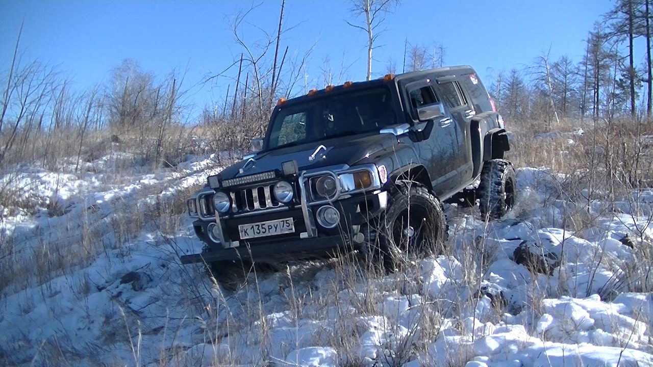 Как едут авто за миллион в лесу... (LX470, TLC100, Hummer H3, Pajero Sport, Escudo, Safari, Surf)
