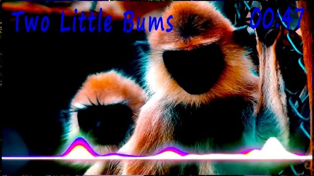 Two Little Bums смотреть онлайн