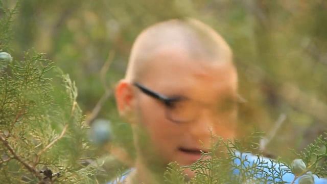 типо VLOG#1 Crimea[look nature] смотреть онлайн
