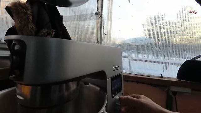 Лепили пельмени. Январь 2021 год. смотреть онлайн