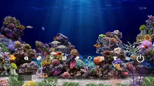 Amazing Aquarium 3D - PS4 Dynamic Theme смотреть онлайн