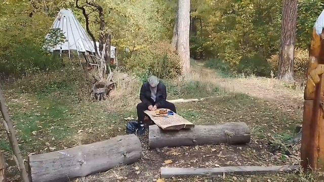 Лесной резчик по дереву в Тольяттинском лесу смотреть онлайн