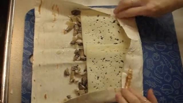 Грибной мир: путешествия по лесам