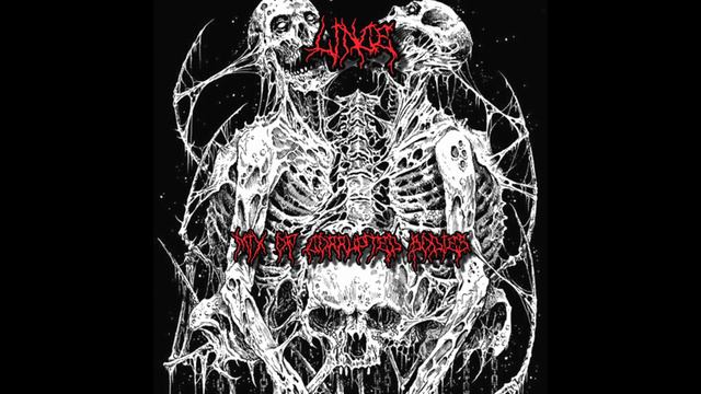 MUSICA DE TERROR-BRUTAL DEATH METAL-HORROR METAL