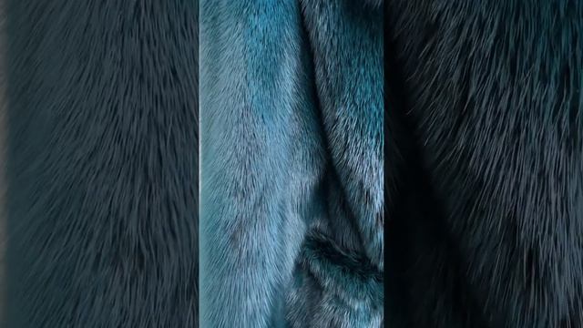 Меховое ателье , покраска шубы, покраска шуб, перешить шубу, перешив шуб смотреть онлайн