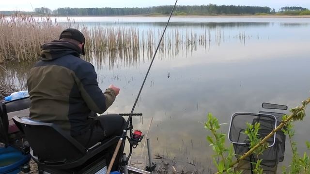 ЛОВЛЯ весеннего КАРАСЯ на ФИДЕР 2020! Рыбацкие хитрости! Красивые поклевки крупным планом! смотреть онлайн