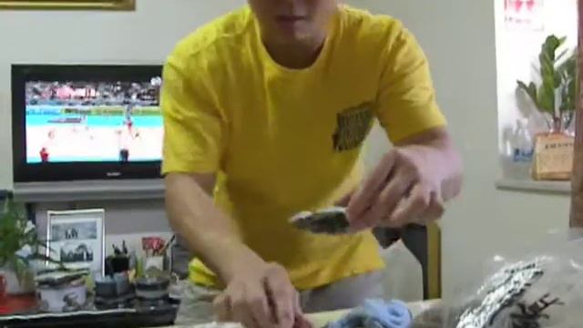 Open the Oyster - SS смотреть онлайн