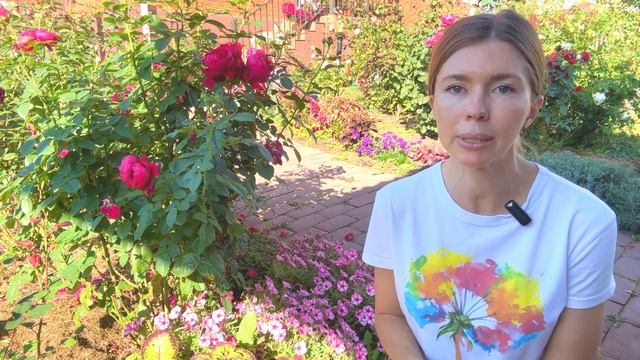 НАДО ЛИ УКРЫВАТЬ РОЗЫ НА ЗИМУ? Обрезка роз перед укрытием, нужна ли она? смотреть онлайн