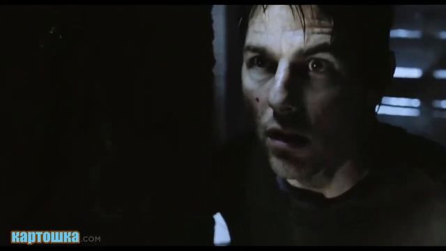 Картошка домашняя 7