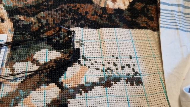 Вышивка и жизнь с 7 по 13 июня//Орхидеи заболели//Леопард//Дача смотреть онлайн