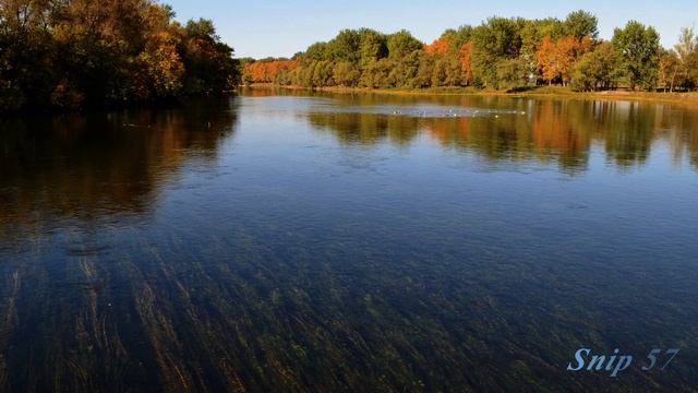 Дорогая Родина моя. смотреть онлайн