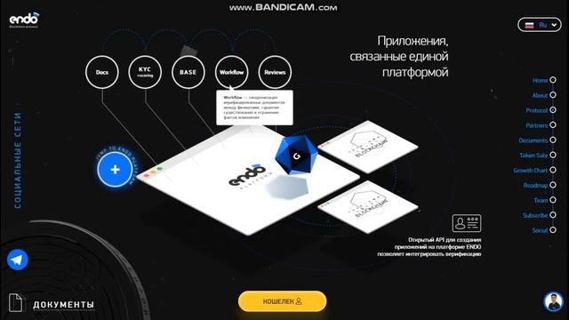 Обзор ENDO ( О токене ) смотреть онлайн