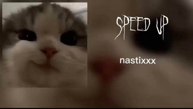 БРОДЯГА(speed up) смотреть онлайн