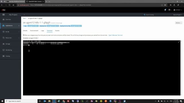 AutoSys and Cloud Native Apps and Workloads смотреть онлайн